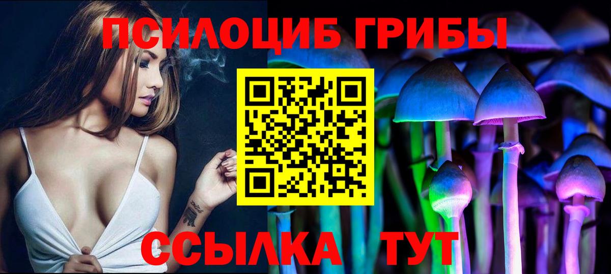 даркнет сайт  Галлюциногенные грибы GOLDEN TEACHER  Вход с VPN  Бирск 